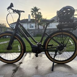 Momentum Electric Bike 