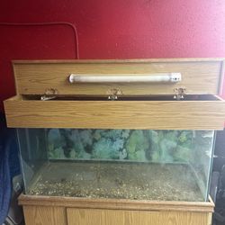 Fish Tank Or Reptile Tank 