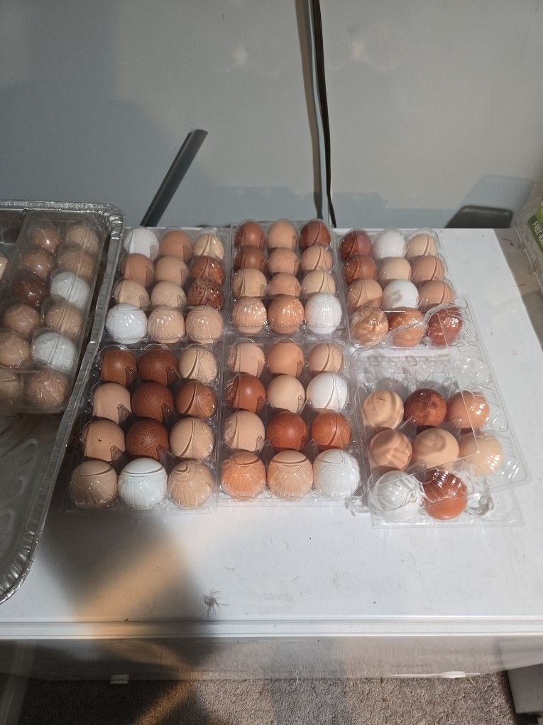 Eggs For Sale