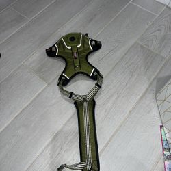 Kong Harness - medium 