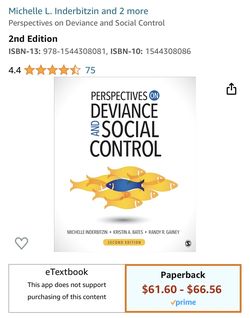 Perspectives on Deviance and Social Control