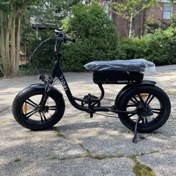 RIDEL Snugger e-Bike