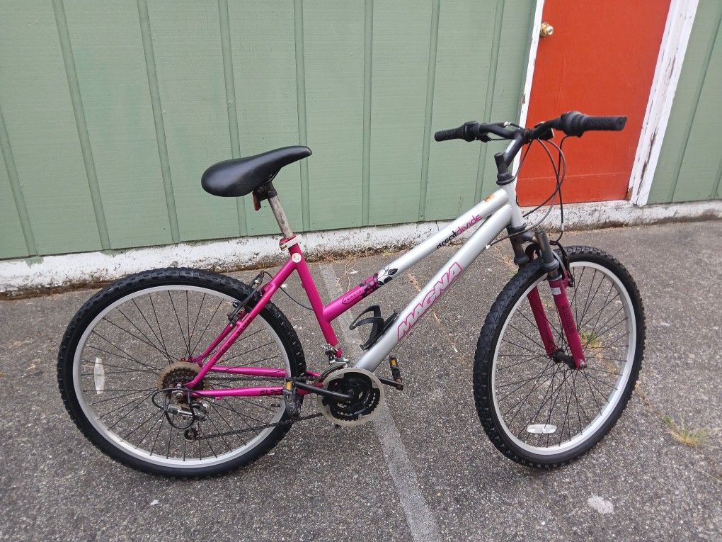 Magna Grea Divide Bike $65 OBO