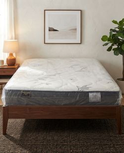 Mattress in Plastic Wrap