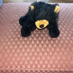 Webkinz Black Bear by Ganz