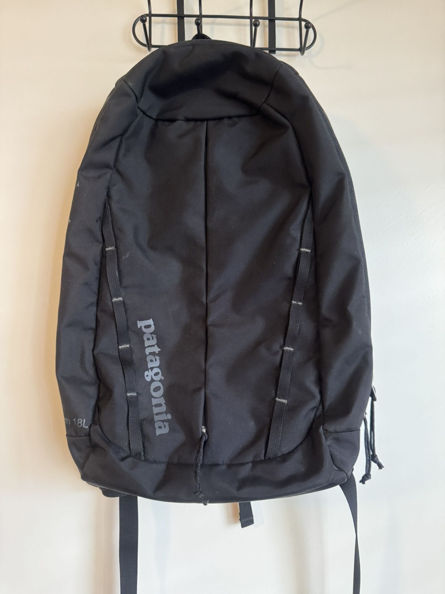 Patagonia Backpack