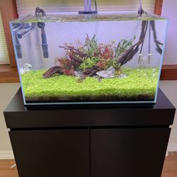20.5 Gal Planted Tank – UNS + ADA + CO2 + Filter + Stand – Turnkey Setup