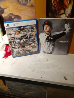 Professional baseball spirits 2024 -2025
