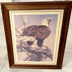 AWESOME EAGLE - 28 x 34 - MAKE OFFER - Perris / Lake Elsinore Area