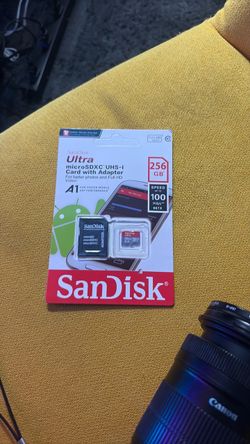 Sandisk 256gb SD card