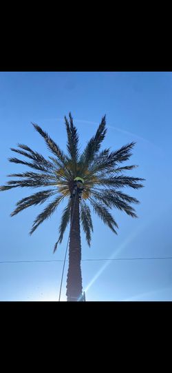 All Vegetation Call (contact info removed)