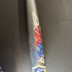 Louisville Baseball Bat 