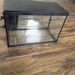 5 Gallon Tank 