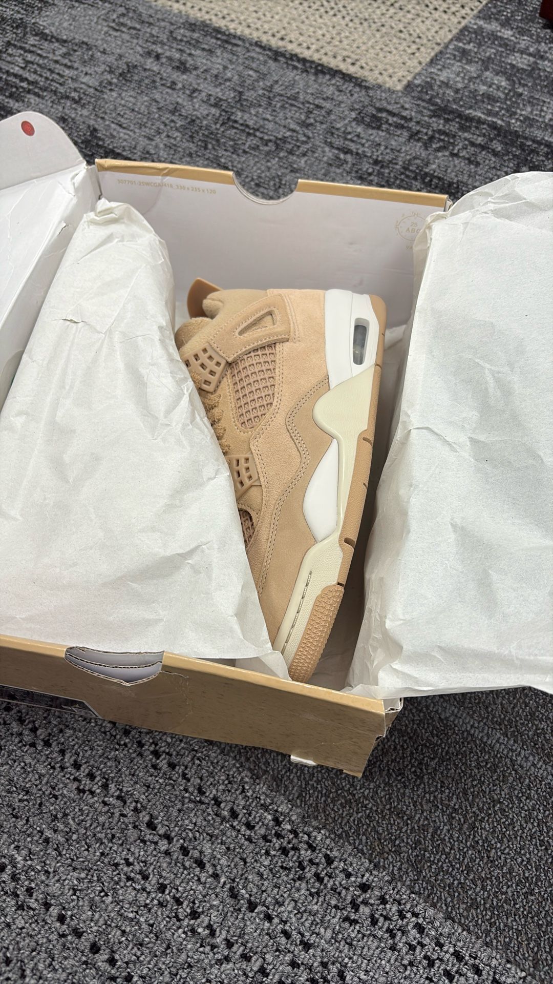New Unreleased Jordan Cozy Girl Retro 4