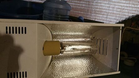 Grow light great shape