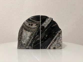 Heavy Stone Bookends Black Fossilized Shells