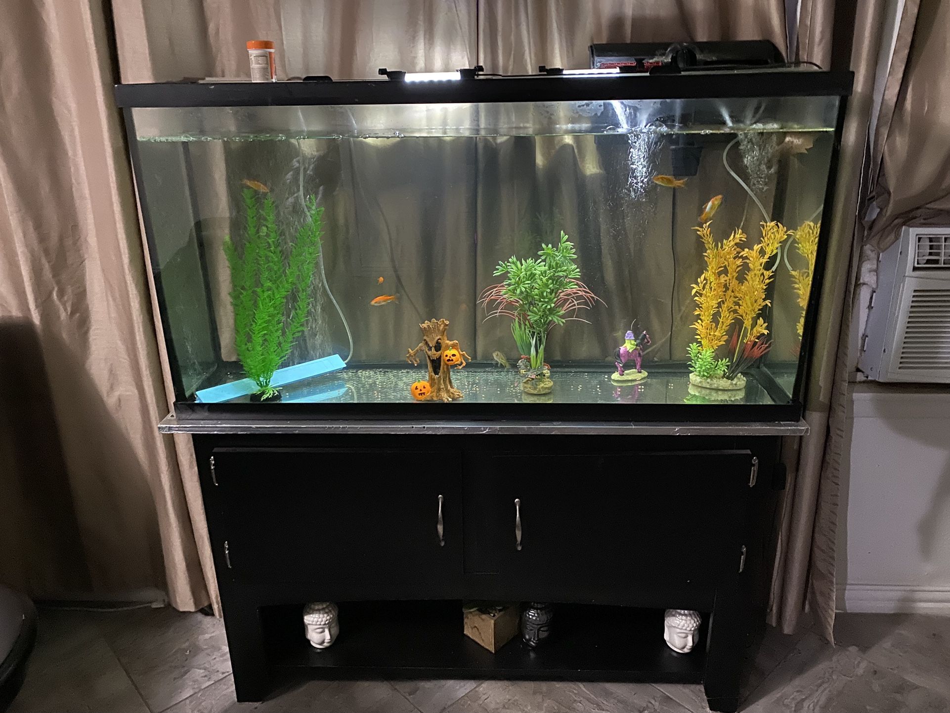 60 Gallon Aquarium