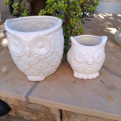 $6 Owl Garden Pot. No Drainage, Small Free, it has a Small Crack. Still Holds a Plant 