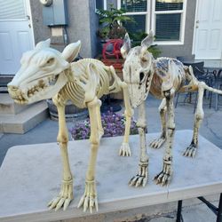 Halloween Decorations 
