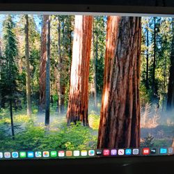 IMAC M1 2021 (PERFECT CONDITION)