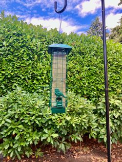 Green  squirrel-proof  bird feeder  and 96 in hook - green