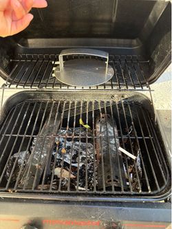 grill
