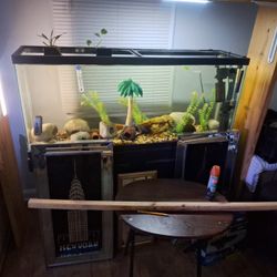 Aquariums For Sale