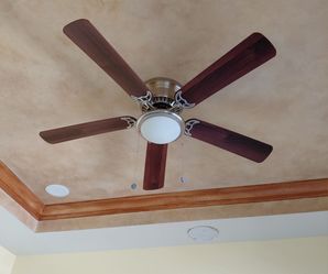 Ceiling Fan With Light