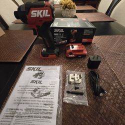 SKIL 1/4 in. Impact Driver Kit