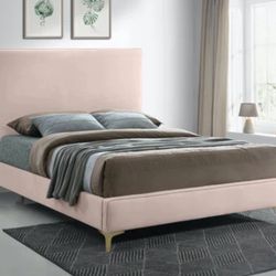 Pink Velvet Queen Size Bed 