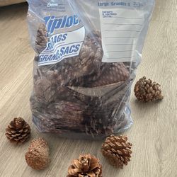 Crafting and Potpourri Pinecones