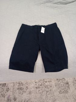 J Crew Shorts Size 31