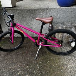 Cleary Owl 20”