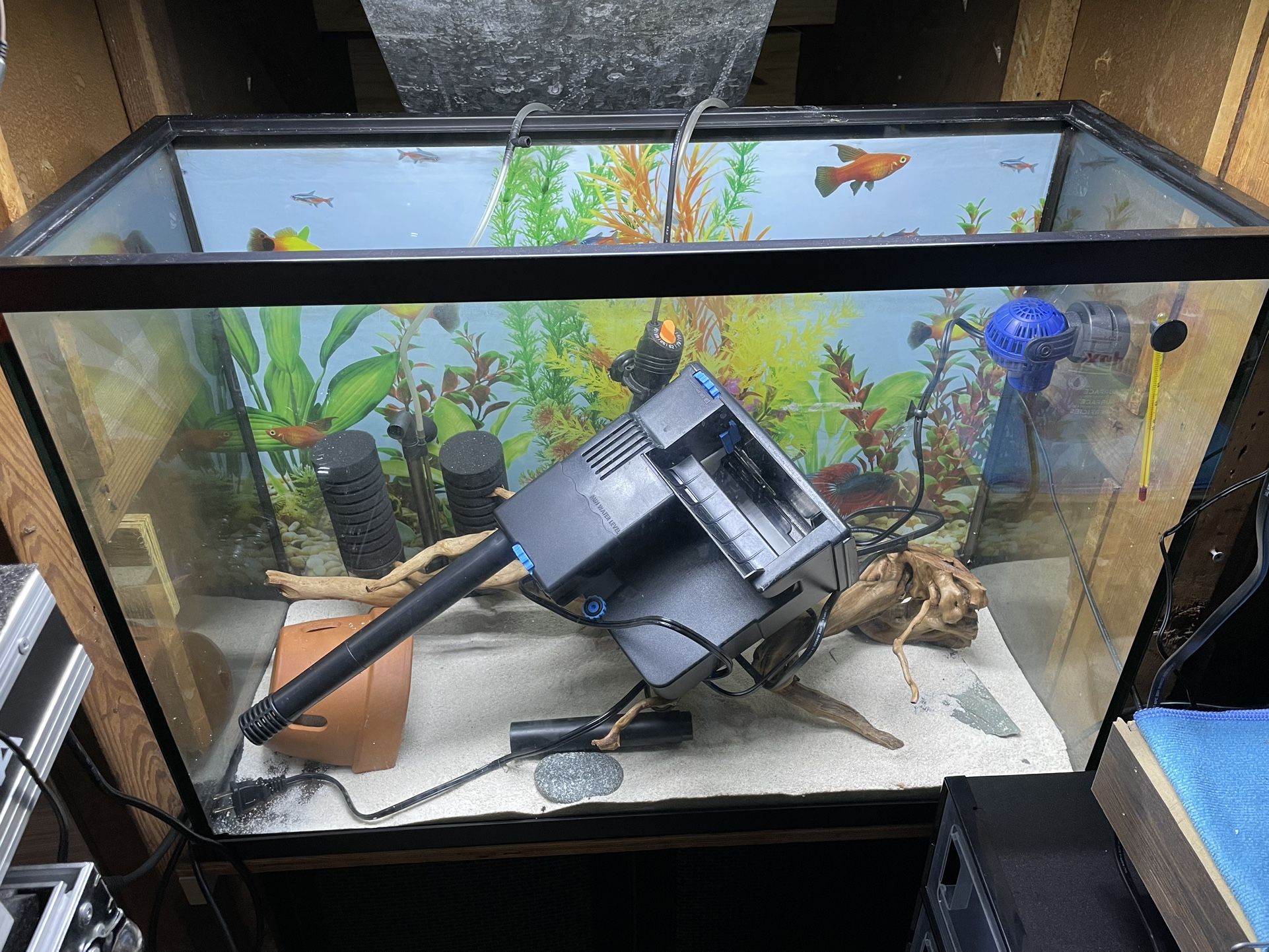 29 Gallon aquarium