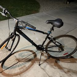 Infinity Boss.three Bike Bicycle 