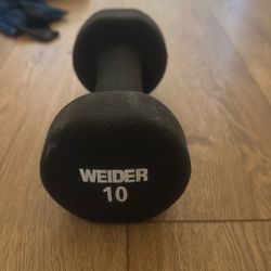 10lb Weight (single)