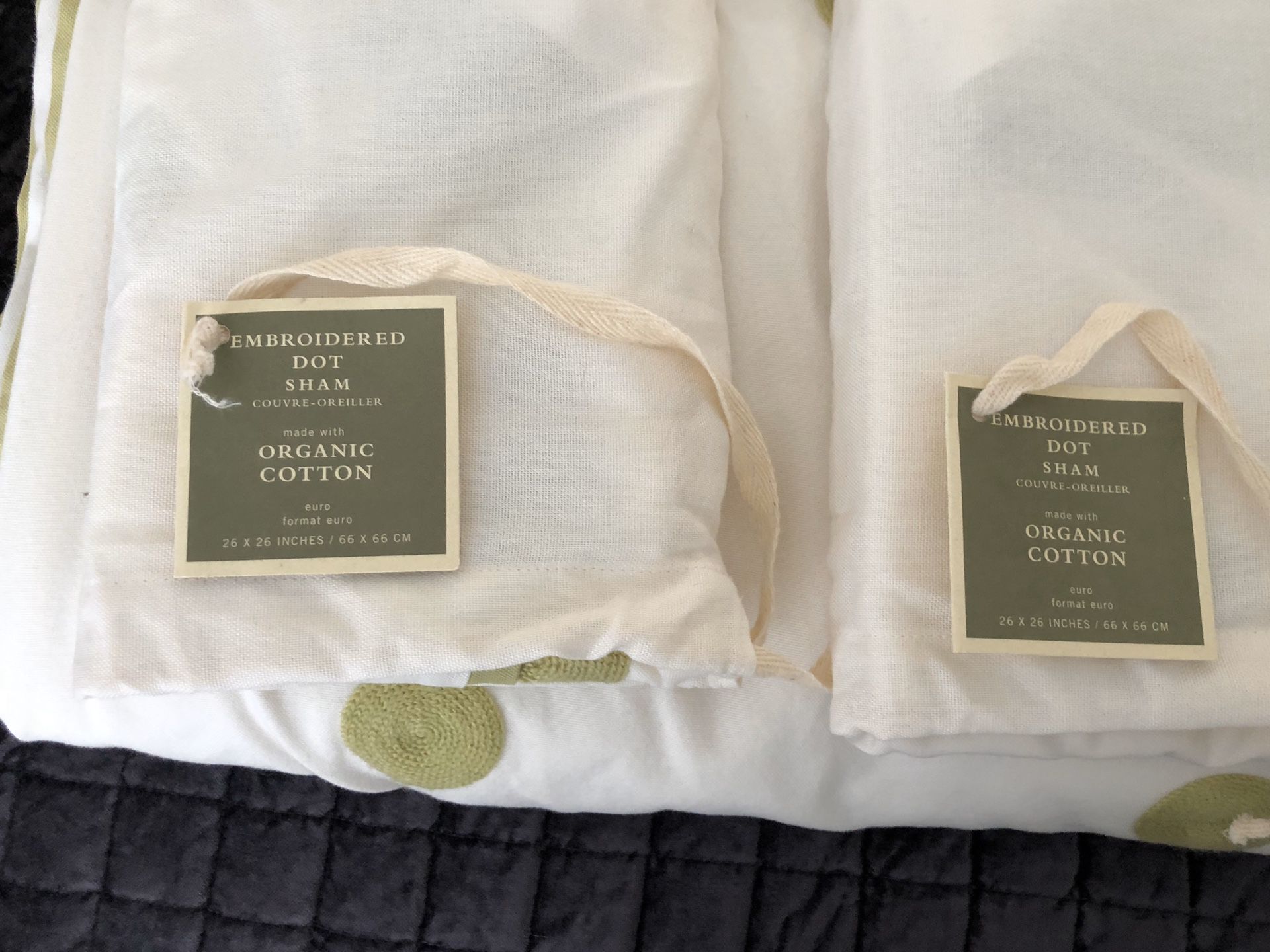Pottery barn duvet with pillows cases queen