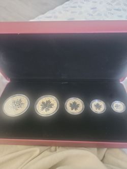2013 Royal Canadian Mint Silver Maple Leaf Fractional 5 Coin Set - Original Box