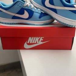 Nike dunk low size 10