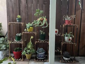 Flower shelf , Plant stand