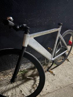 Throne 29er