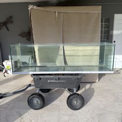 125 Gallon Fish Tank 