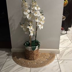 Beautiful Artificial Plant
