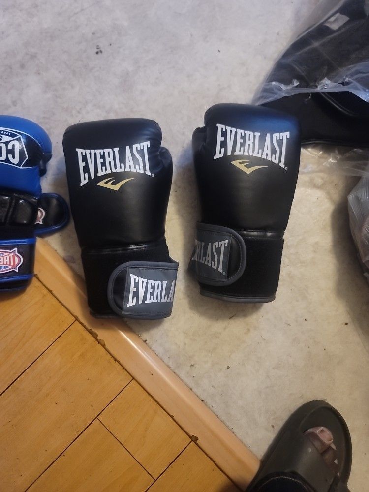 12 oz Everlast Boxing Gloves
