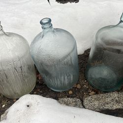 5 gallon glass carboys