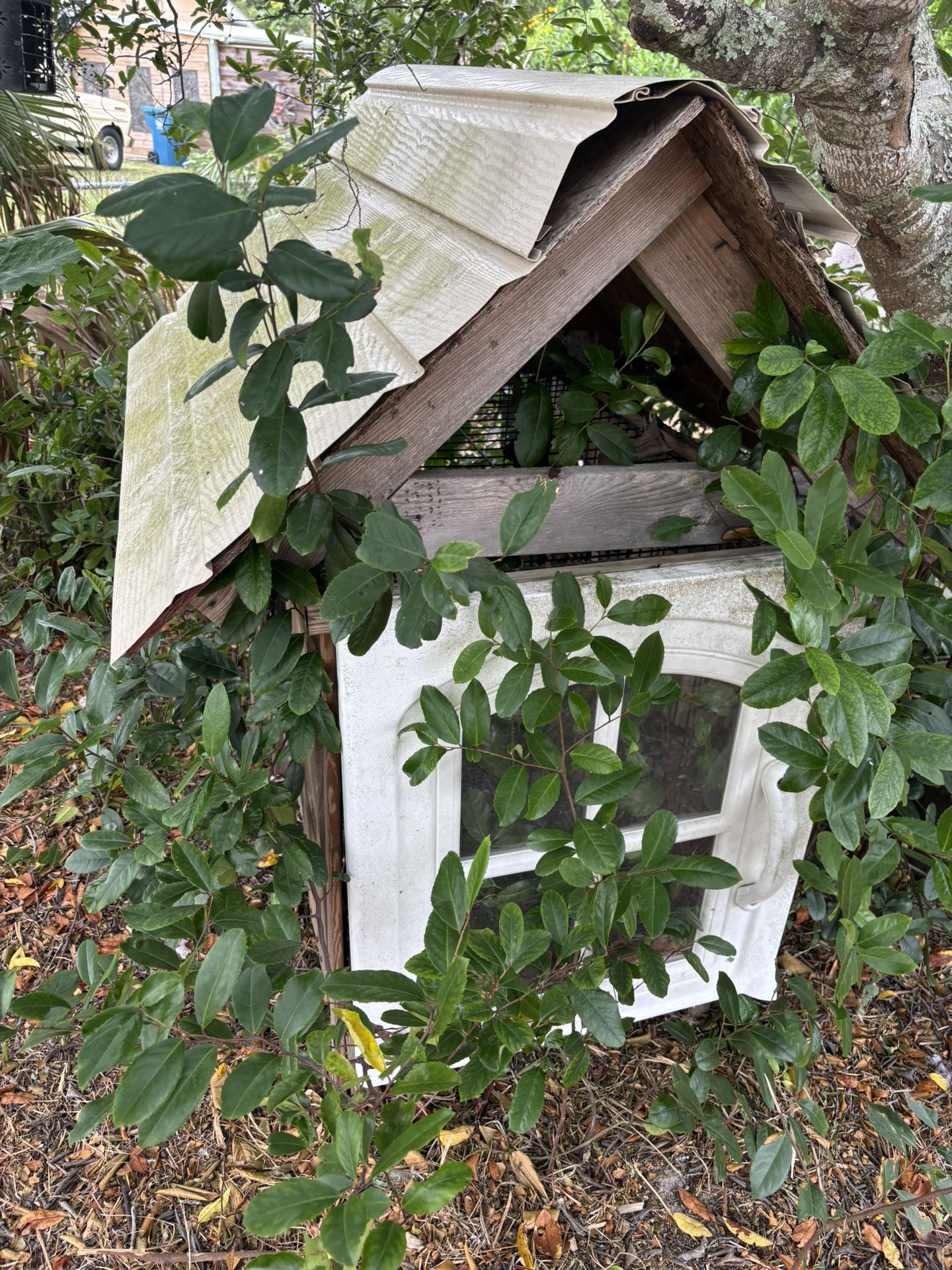 Chicken Coup