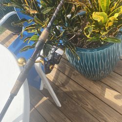 Penn Slammer 3500 On A Star Rod Plasma
