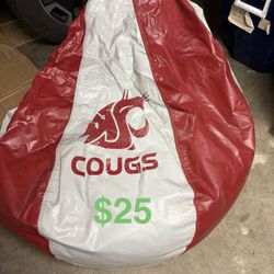 WSU Beanbag