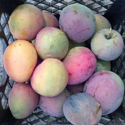 Ripe Mangoes Available Right Now