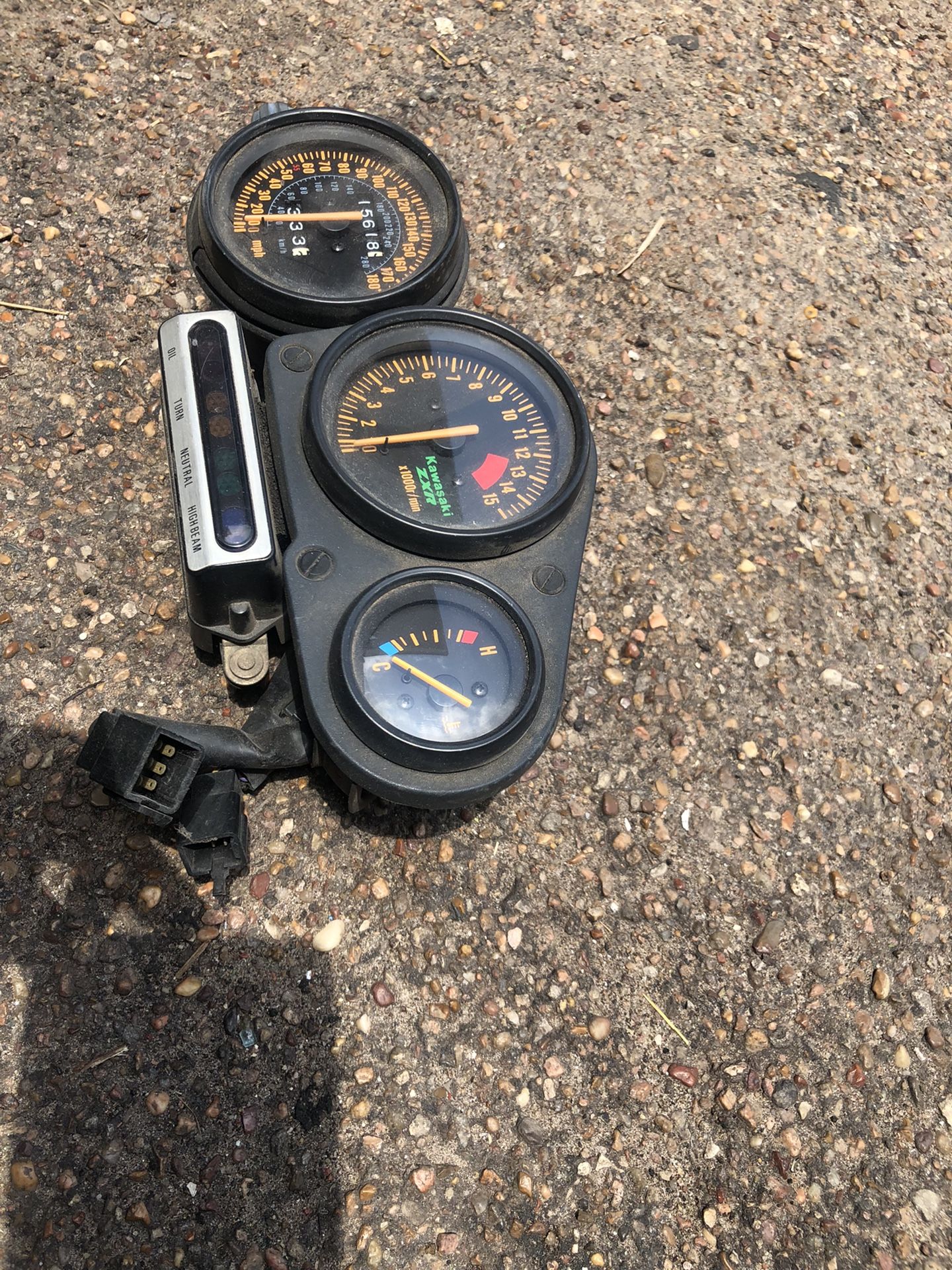 Palm Angel Track Pants